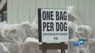 Anita Blanton reports on protecting pets from cold