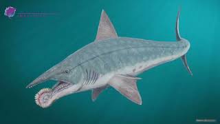 Famous Ancient Sharks! Wealth