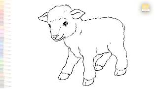 Baby sheep drawing easy | Animal outline sketches | How to draw A Baby sheep step by step #artjanag