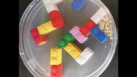 Labyrinthe de Légo - Blob