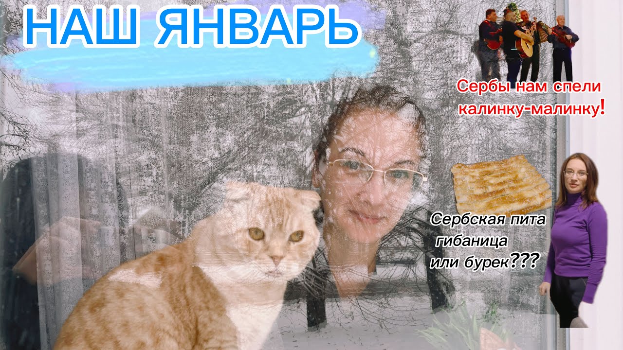 Что интересного было в январе/Калинка-малинка от сербов/Научилась делать питу/Доставка IKEA#сербия