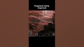 Dogmeat being dogmeat #fallout #memes #shorts #falloutmemes