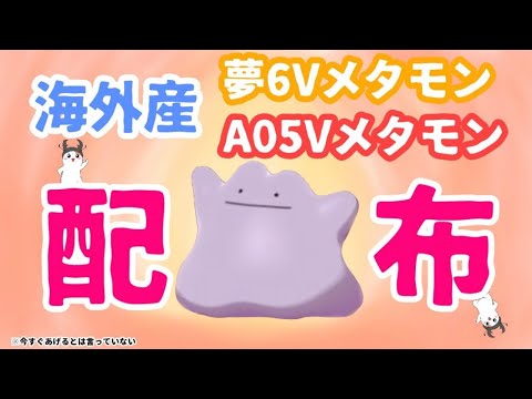 大 蟻塚 ランゴスタ 大 蟻塚 ランゴスタ