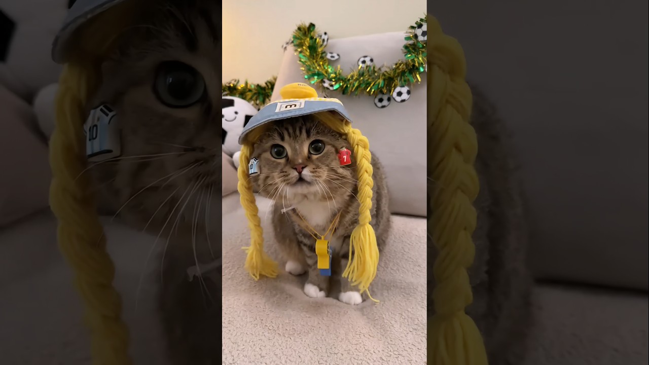 The Most Beautiful Cheerleaders of the World Cup #cat #catvideos #cartoon #pets #cutecat #shorts