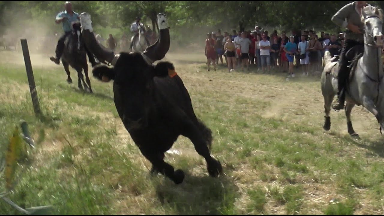 ST HILAIRE DE BRETHMAS FESTIVAL DE BANDIDO 22.05.2022