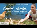 Cycling around the world: VLOG 21 - COVID, Chicks and a Broken Computer - The Gambia #7