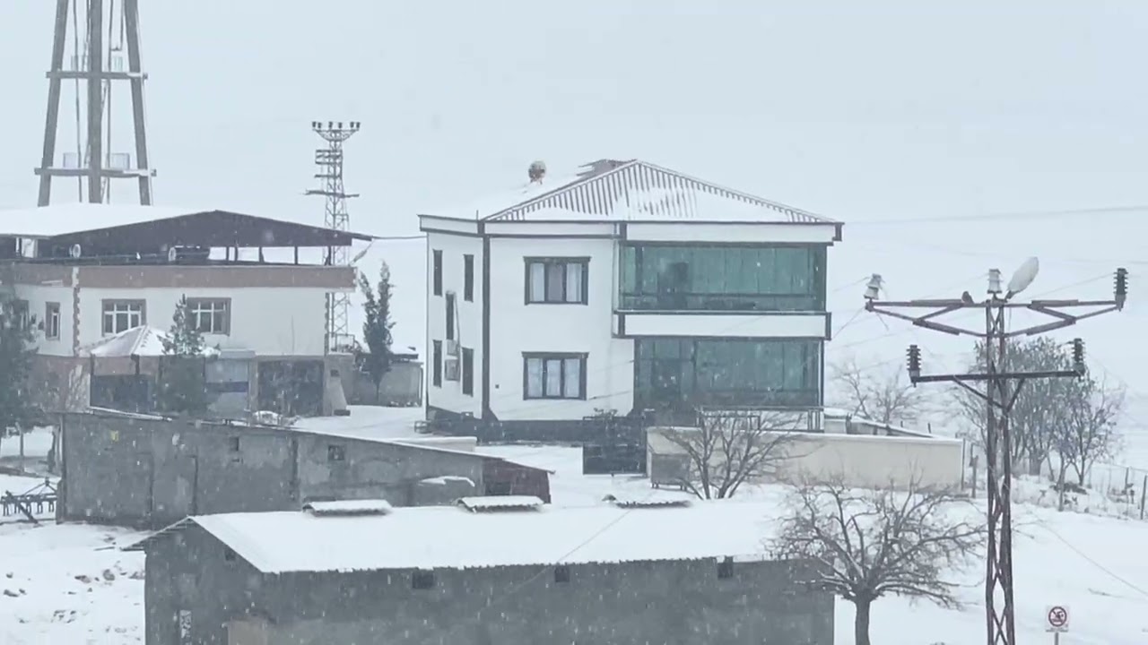 Dimi 31.12.2025 son yılı