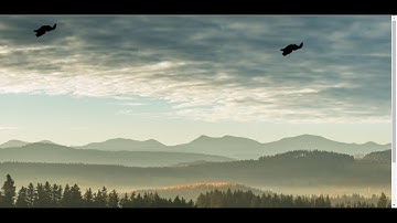 Flying birds animated  in using CSS coding || creating by Priksi