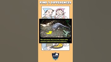 Can you find 3 differences between the two images | Challenge #3 | #emoji_quiz #find_differences