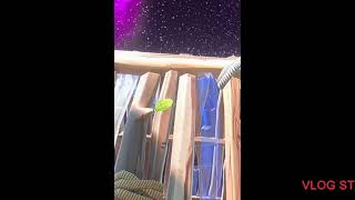 Creative base wars