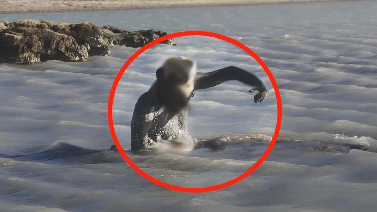 herşey dahil düğün paketleri Tsunamiden Sonra İnsanların Bulduğu Şey İnterneti Sarstı.! İlginç Gerçekleri Görün.