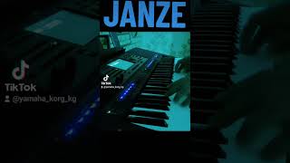 cover Жанзе Janze karaoke Yamaha psr SX KORG PA