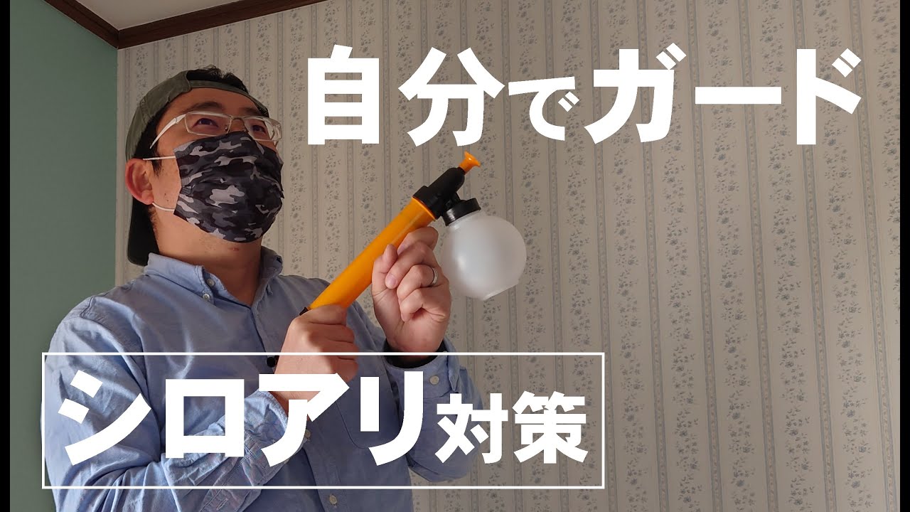 Diy シロアリ駆除を自分でやってみた 費用は約1万円 白アリミケブロック 業務用 Youtube