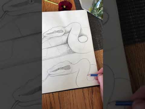 Jennah Fox- directed draw of a snake/python