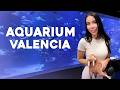 [4k] Gentle Bella Feminine Energy Aquarium Valencia