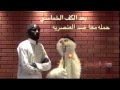 لا تغلط mp3