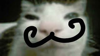 rrtyui