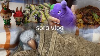[Sora vlog] 앵무새와 함께하는 12월 일상 브이로그#9 | 퀘둥이 소라의 귀여운 목소리/샌드위치/ 봉봉24/마라샹궈/약간의 공부