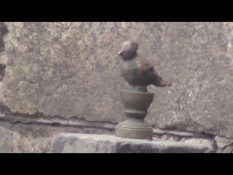 Скульптура "Чижик Пыжик" на набережной Фонтанки, Санкт-Петербург