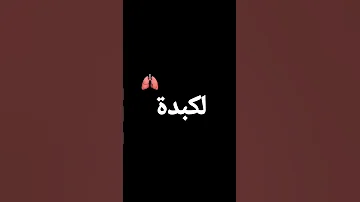 شاشه سوداء Shorts جرحو لميمتي لكبدة 