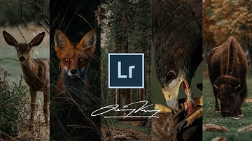 How to PROPERLY use LIGHTROOM PRESETS + My FREE Lightroom Preset!