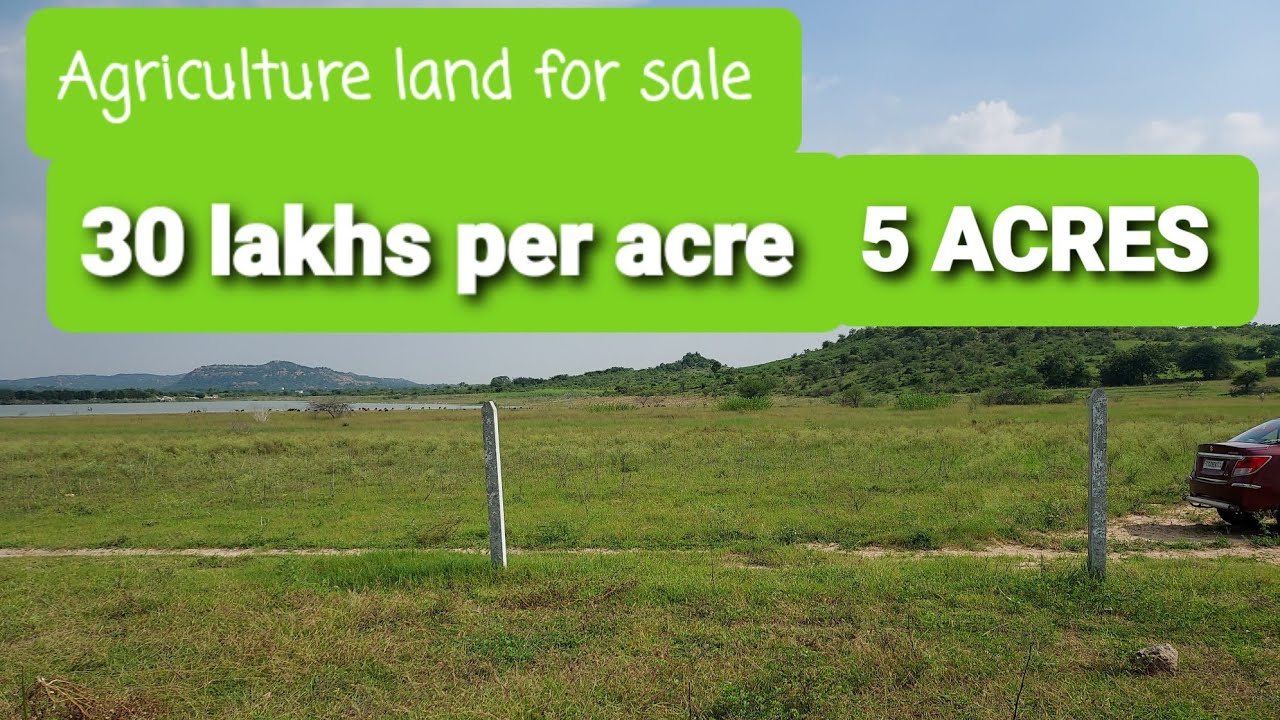 Agriculture land for sale 5 acres 30 lakhs per acre YouTube