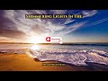 Shimmering Lights In The Dark | Background Music | No Copyright
