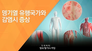 뎅기열 유행국가와 감염시 증상 - (2016.5.18_581회 방송)_모기 매개 감염병 경보