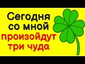 С вами начнут происходить чудеса. Только два слова!