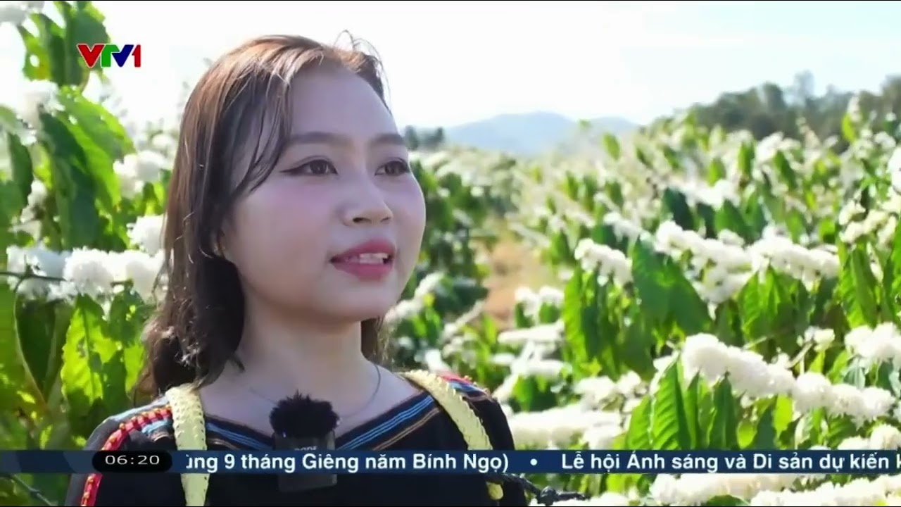 DU XUÂN TRÊN TUYẾT RƠI