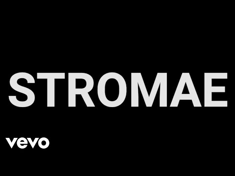 Stromae - Stromae Vu Par … / Stromae Seen By …