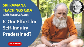 Is Our Effort for Self-Inquiry Predestined? (A Very Important Question Answered by Michael James)
