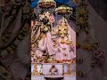 #trending #love #viral #song #youtube #shyam #shortvideo radhe radhe 🙏🙏