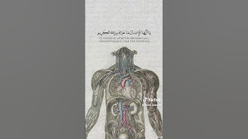 #quran #fyp #viral #قران #قران_كريم #fypシ #المنشاوي #اكسبلور #تلاوة_خاشعة #القرآن