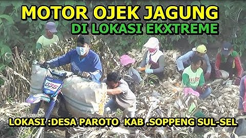 motor ojek jagung  extreme di Sulawesi selatan @Bugisstory_
