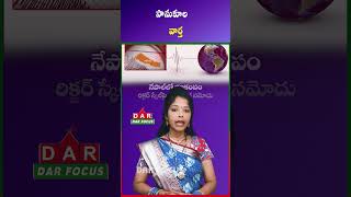 4.1 Magnitude Earthquake Hits Nepal, No Damage Reported | Latest updates | DAR FOCUS #darfocus