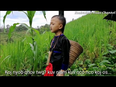 Video: Li Cas Nyob Tsis Muaj Niam