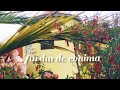 Conima la hermosa tierra de flores y rosas / decojardinamy