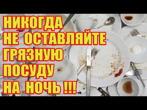 Почему Нельзя Оставлять Грязную Посуду на Ночь!?