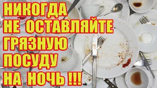 Почему Нельзя Оставлять Грязную Посуду на Ночь!?