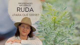 Ruda: propiedades, para qué sirve y contraindicaciones - Guía completa