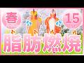 🌸春バージョン🌸【BPM150×15分】超早歩きで滝汗有酸素運動💦桜&花桃で脂肪燃焼🔥