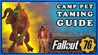 Fallout 76: How To Tame a Pet for CAMP. Animal Taming Guide Beginner to Advanced. Find a Pet.