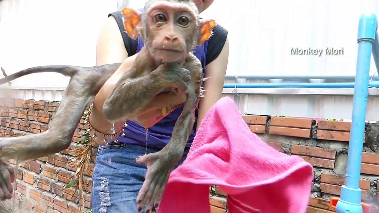 Baby Mori Taking A Bath In The Evening, Mori Scare And Cry Loudly When Bathing