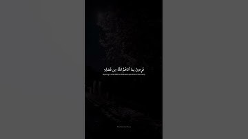 فَرِحينَ بِما آتاهُمُ اللَّهُ مِن فَضلِهِ  محمد صديق المنشاوي  سورة آل عمران