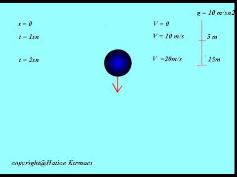 Free-fall motion in the vertical direction. (Dikey yönde serbest düşme hareketi)