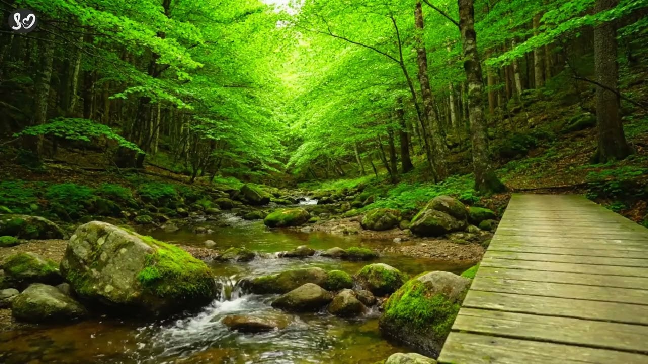 The healing sound for the heart and soul.#relaxingsounds #naturesounds #sleepsounds #watersounds