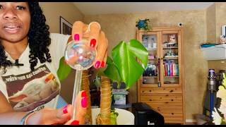 2 Clear Plant Watering Globes Review: Easy Self-Watering