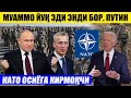 МУАММО ЙЎҚ ЭДИ ЭНДИ БОР ПУТИН---НАТО ОСИЁГА КИРМОҚЧИ