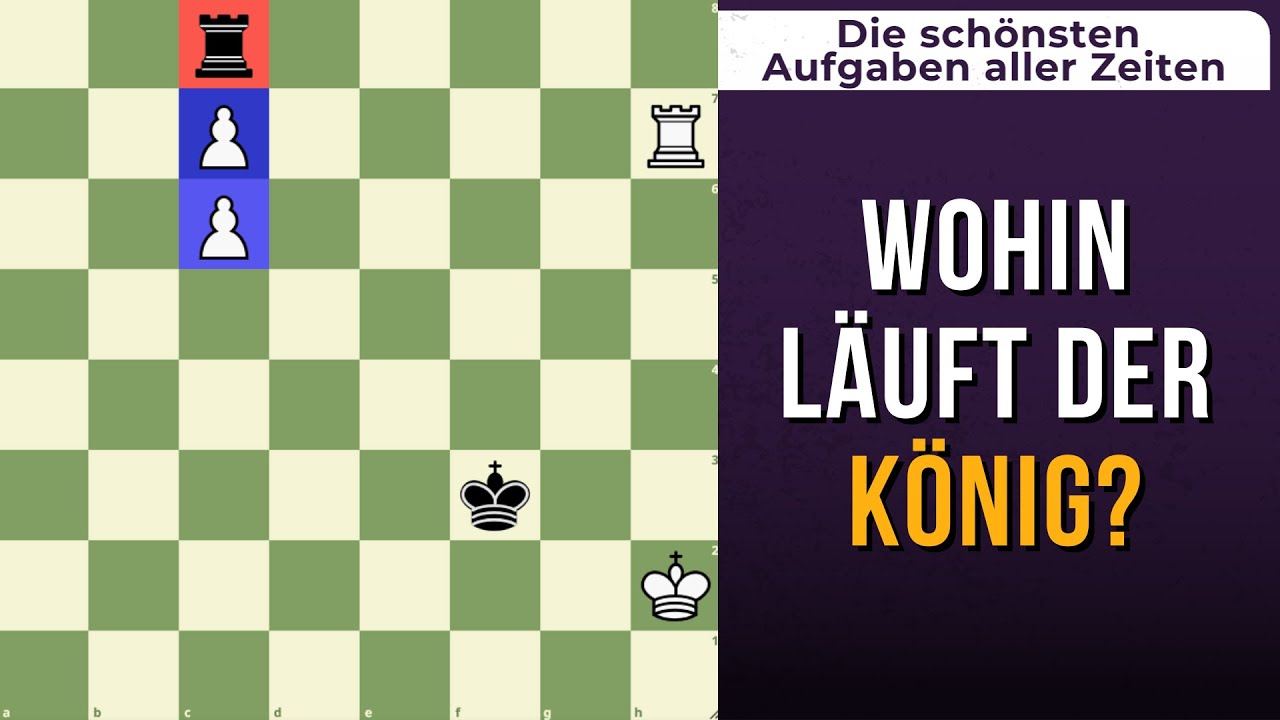 Diese Stellung gewinnst du nur mit perfektem Königsspiel